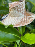 Double Kuʻuipo Pāpale Lauhala