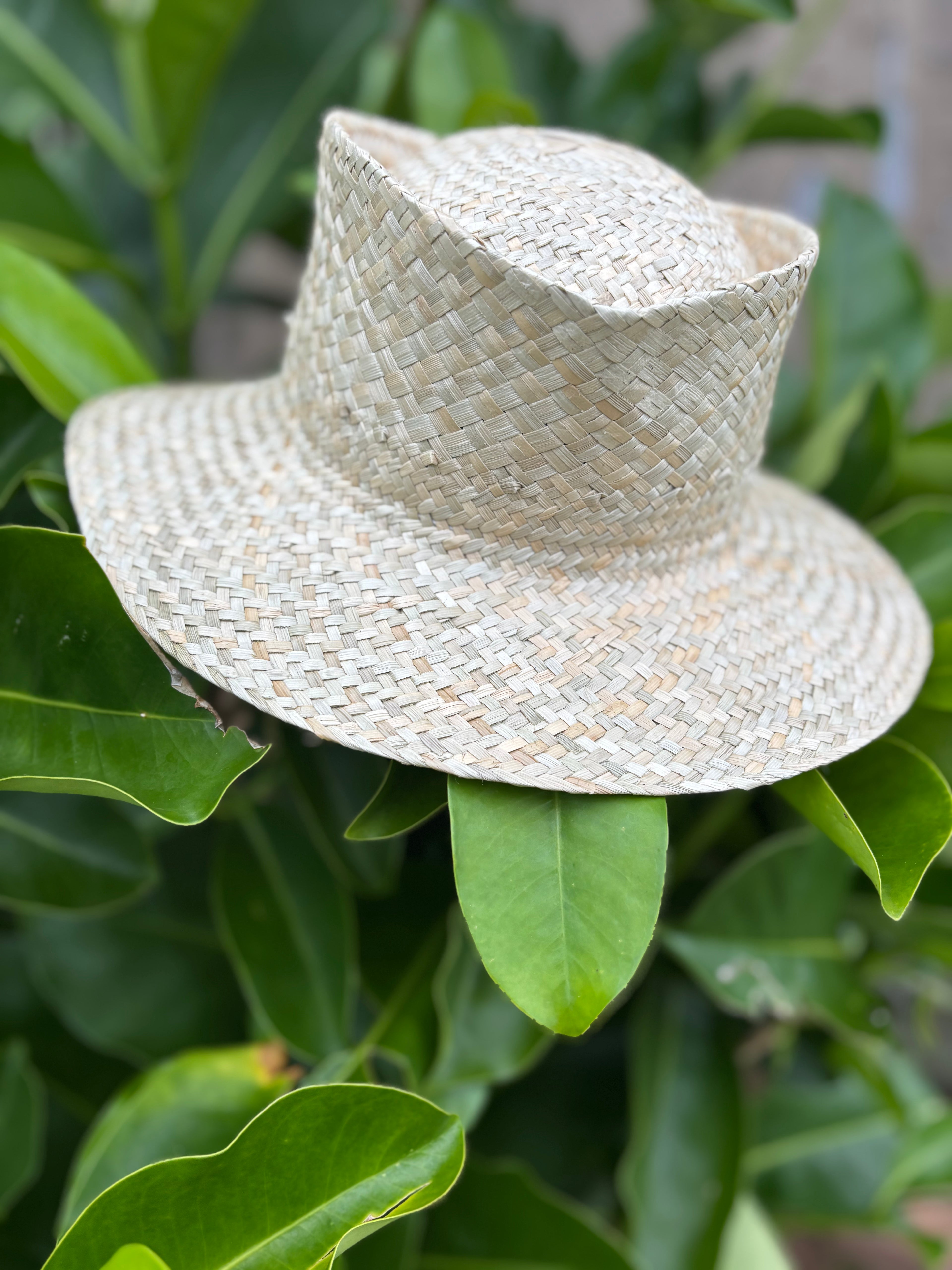 Fedora Pāpale Lauhala